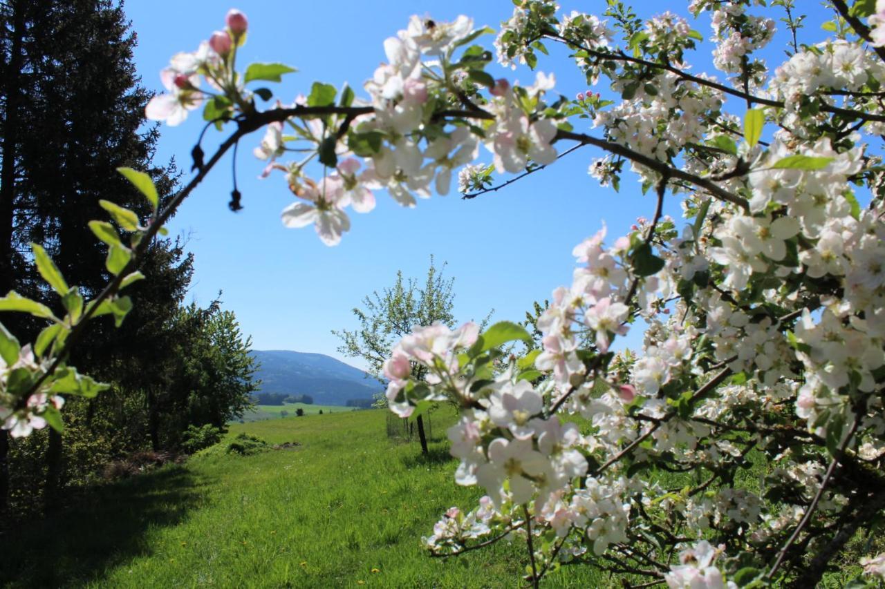 Moderne Ferienwohnung Mit Eigenem Garten Und Traumhaften Blick Wilhelmsthal Eksteriør bilde